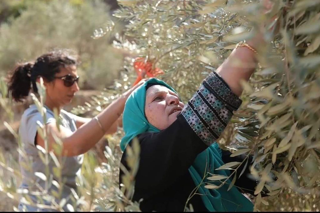 خبر